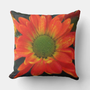 Orange Mums Outdoor-Akzentschale Kissen