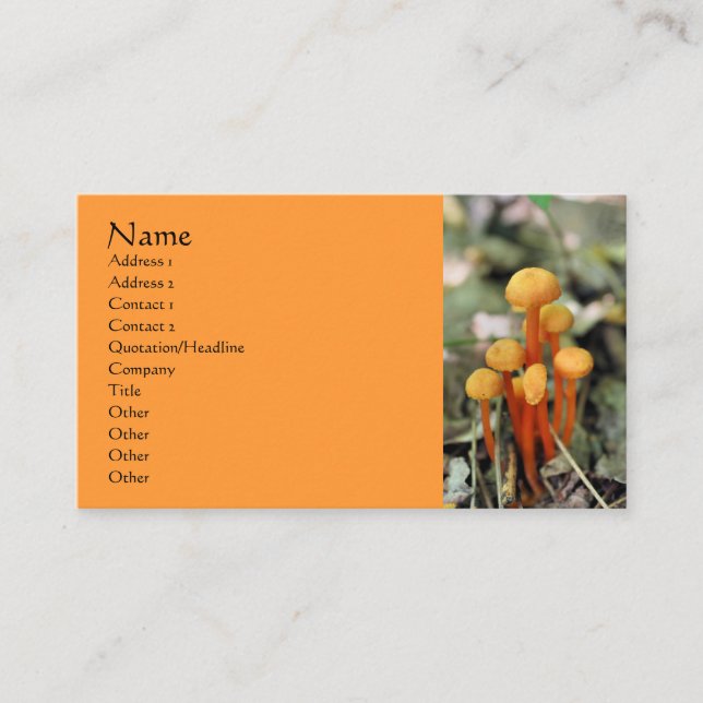 Orange Mushrooms Naturofotografie Business Card Visitenkarte (Vorderseite)