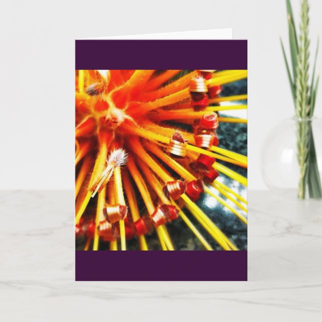 Orange Nadelkissenprotea-Raum-Gruß-Karte Karte (Vorderseite)