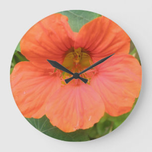 Orange Nasturtium Blume Wall Clock Große Wanduhr