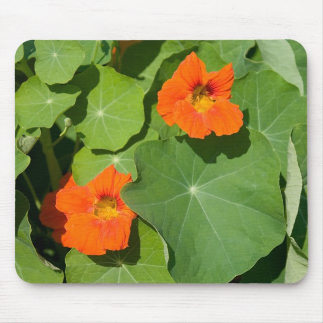 Orange Nasturtium Mouse Pad Mousepad (Vorne)