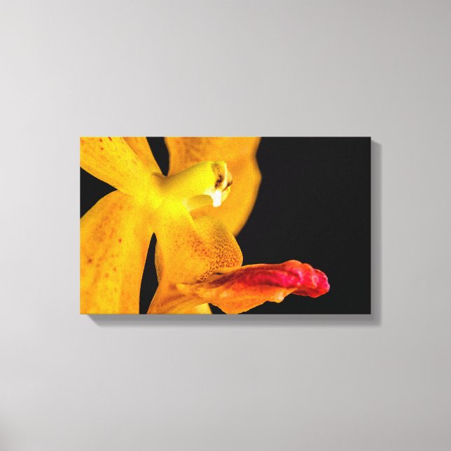 Orange Orchid auf Schwarz 1 Leinwanddruck (Vorderseite)