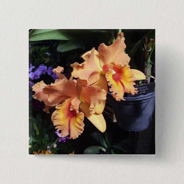 Orange Orchideecorsage-Button Button (Vorderseite)