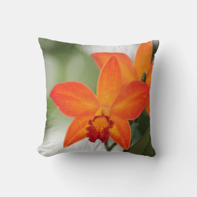 Orange Orchideen-Baumwollkissen Kissen (Vorderseite)