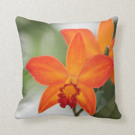 Orange Orchideen-Baumwollkissen Kissen