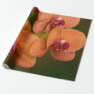 Orange Orchideen-Blume Geschenkpapier