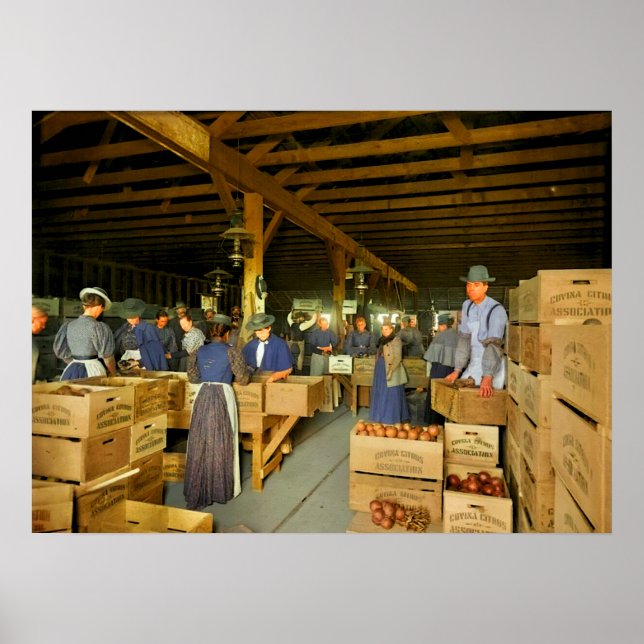 Orange Packhouse wahrscheinlich Covina California Poster (Vorne)
