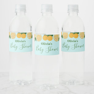 Orange Party Frucht Frische Babydusche