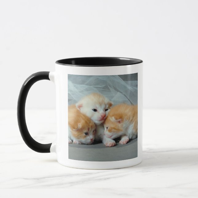 Orange Pelz-Kätzchen Tasse (Links)