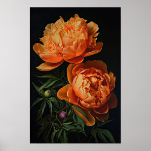 Orange Peonies Blume Art Print Poster