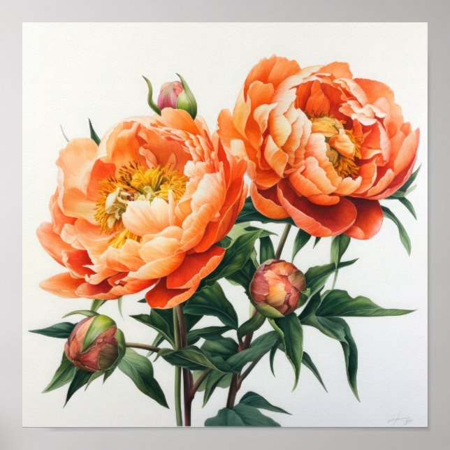 Orange Peonies Blume Art Print Poster (Vorne)