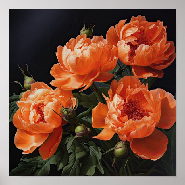 Orange Peonies Blume Art Print Poster (Vorne)