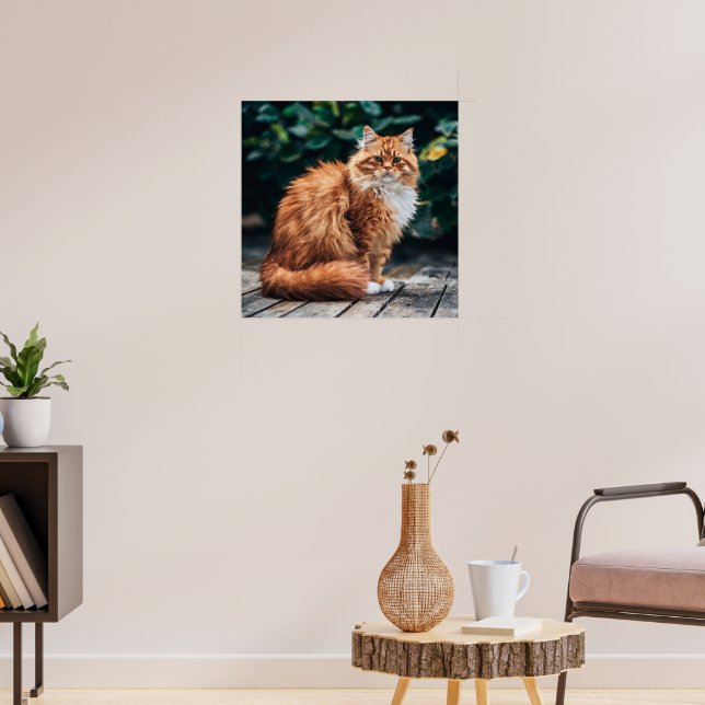 Orange Persian Cat Poster (Wohnzimmer 3)