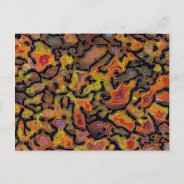 Orange Petrified Dinosaur Bone Postkarte (Vorderseite)