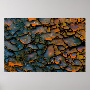 Orange Petrified Dinosaurierknochen Poster