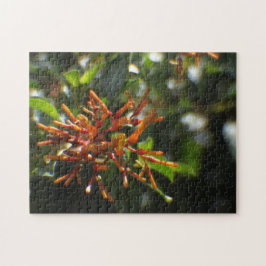 Orange Pflanze Puzzle