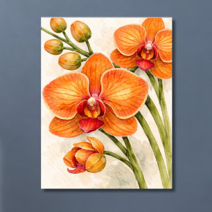Orange Phalaenopsis-Orchidee Botanisch Poster
