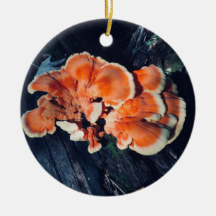 Orange Pilz-Kreis-Verzierung Keramik Ornament