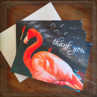 Orange pink Flamingo Foto Dankeschön Karte