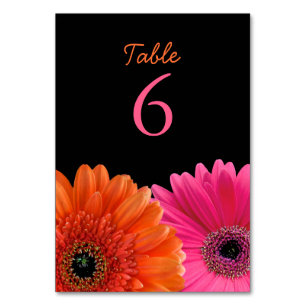 Orange Pink Gerbera Gerber Daisy Black Wedding Tischnummer