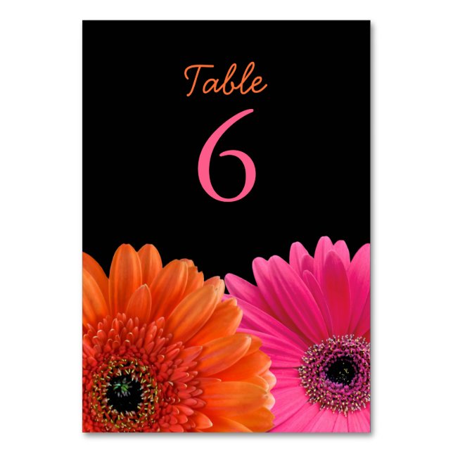 Orange Pink Gerbera Gerber Daisy Black Wedding Tischnummer (Vorderseite)