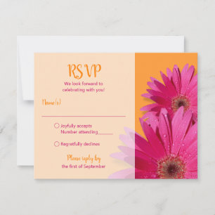 Orange-Pinke Gerbera-Daisy-Hochzeits-Antwortkarte RSVP Karte