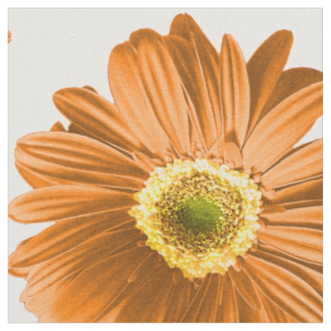 Orange Pop Daisy Pattern Stoff (Nahaufnahme)