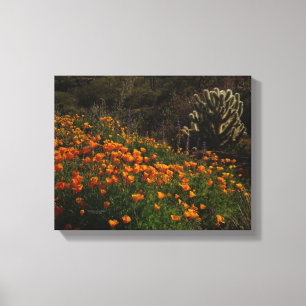 Orange Poppies Desert Wildblumen Cholla Cactus Leinwanddruck