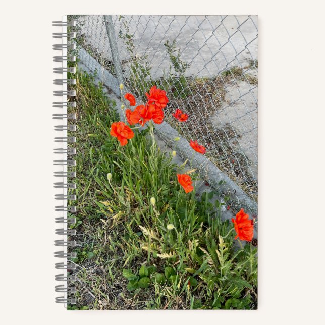 Orange Poppies Journal (Recto)