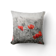 Orange Poppy Blume Field Minimalistisch Fotografie