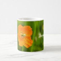 Orange Poppy Blume Natur Foto und Individuelle Nam