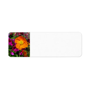 Orange Poppy Rücksendeadressen-Aufklebers