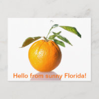 Orange Postcard - Hallo aus dem sonnigen Florida!