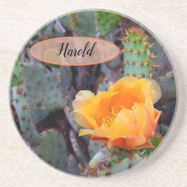 Orange Prickly Pear Opuntia Cactus Blume Foto Getränkeuntersetzer (Vorne)