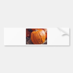 Orange Pumpkin Autoaufkleber