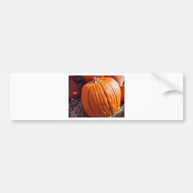 Orange Pumpkin Autoaufkleber (Vorne)
