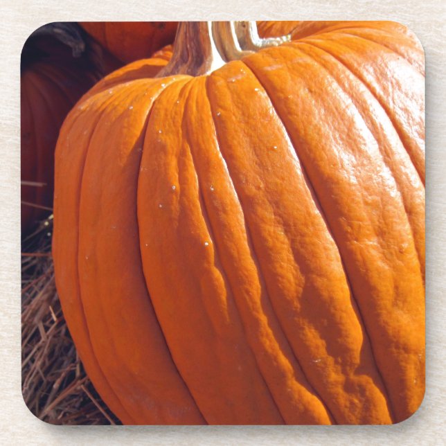 Orange Pumpkin Untersetzer (Vorderseite)