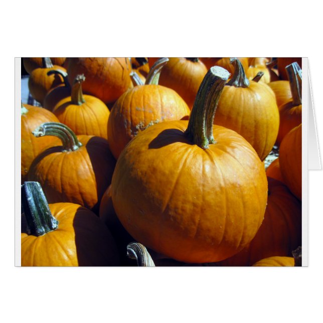 Orange Pumpkins (Vorderseite (Horizontal))