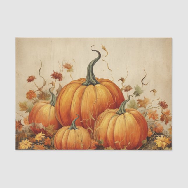 Orange Pumpkins Rustikaler Herbst Seidenpapier (Vorderseite)