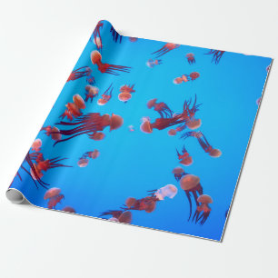 ORANGE QUALLE GESCHENKPAPIER