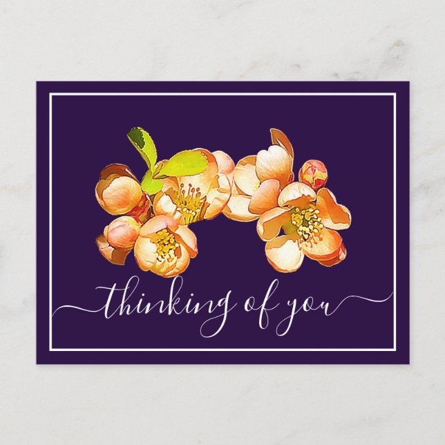 Orange Quince Violet Hintergrund Postkarte (Vorderseite)