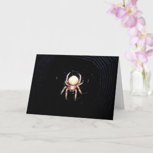 Orange-Radspinne Karte