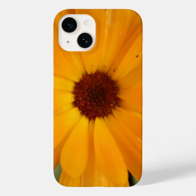 Orange Rain Daisy iPhone 5 Coque (Verso)
