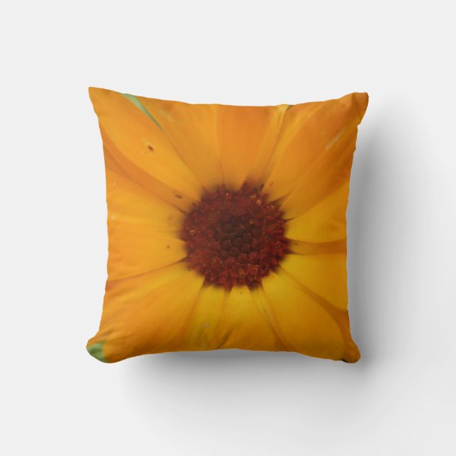 Orange Rain Daisy Pillow Kissen (Vorderseite)