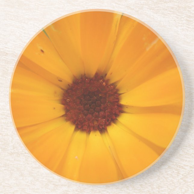 Orange Rain Daisy Untersetzer (Vorne)