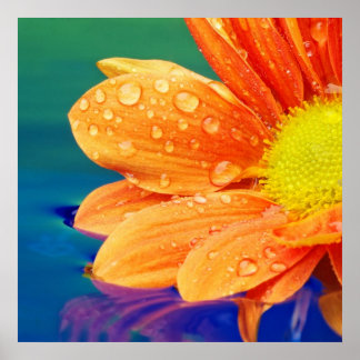 Orange Raindrops Fotoposter Poster