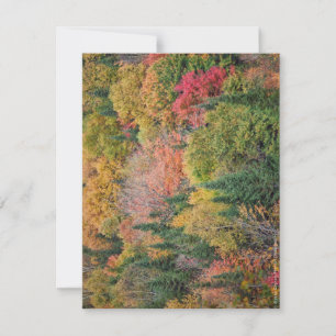 Orange Red Bushes Dankeskarte