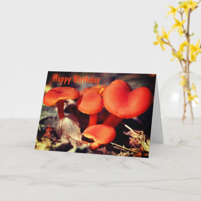 Orange Red Mushrooms Nature Birthday Karte (Gelbe Blume)