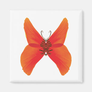Orange Red Poppy Butterfly mit Ihrem Namen Magnet