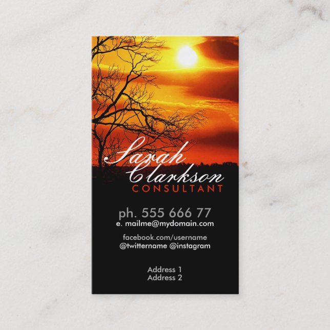 Orange Red Sunset Silhouette Business Card Visitenkarte (Vorderseite)